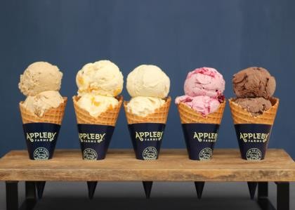 Ice Cream Raspberry White Chocolate