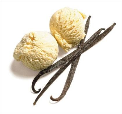 Ice Cream Vanilla Bean