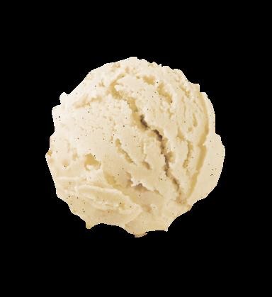 Ice Cream Vanilla Bean Scoop