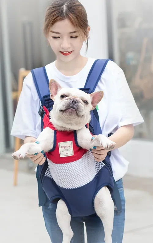 Dog Carrier