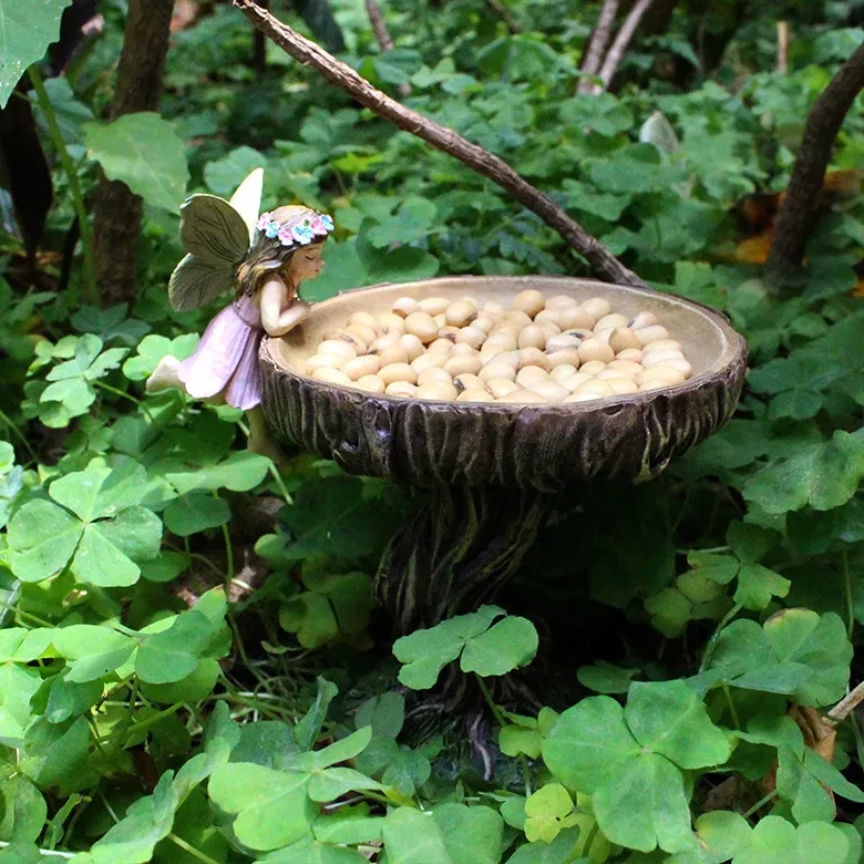 Fairy Garden