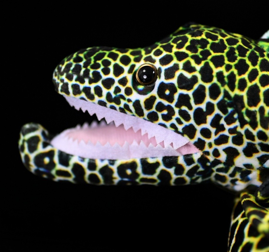 Cute Star Eel Plush Toy With A Realistic Kangji Eel Figurine