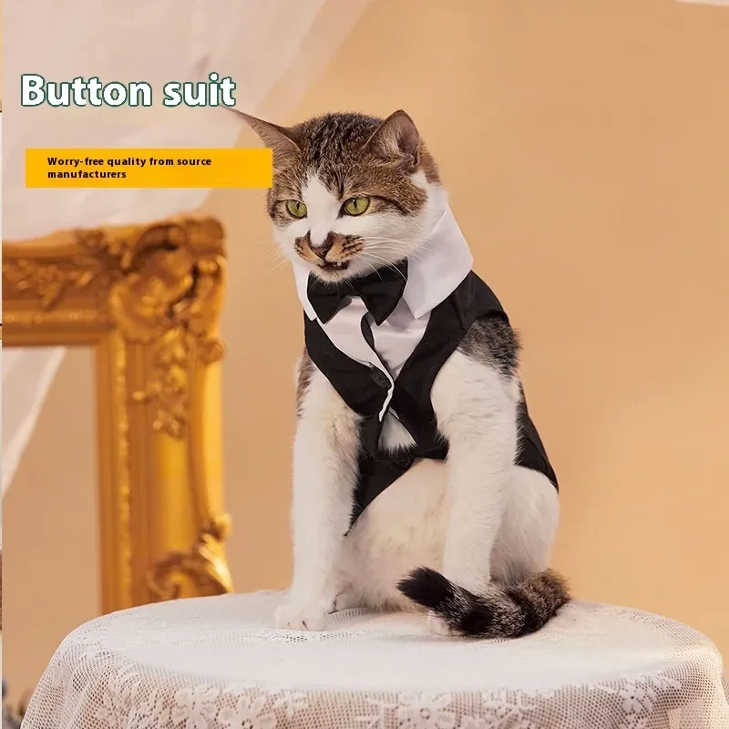 Cat Jacket