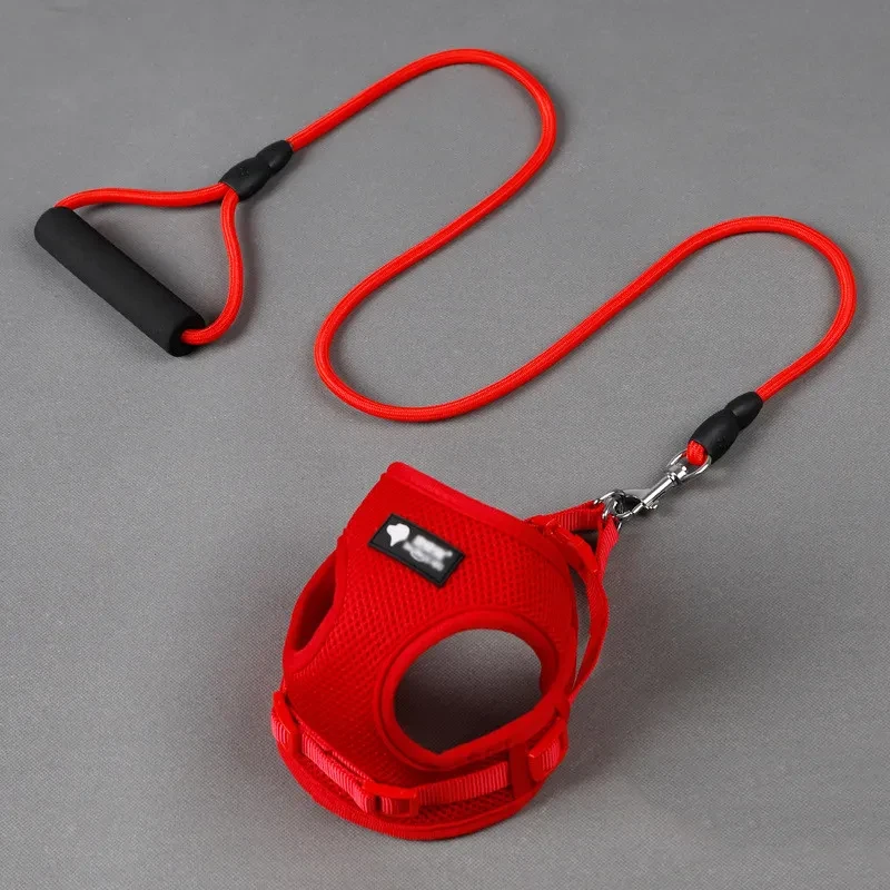 Dog leash and collar
