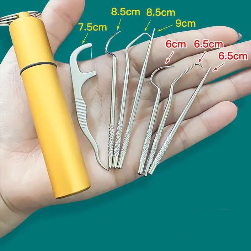 7-Piece Portable Stainless Steel Toothpick Set