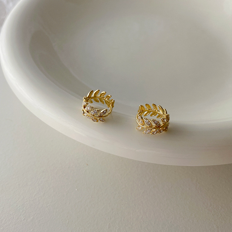 Temperament fashion zircon leaves earrings earrings earrings cool wind