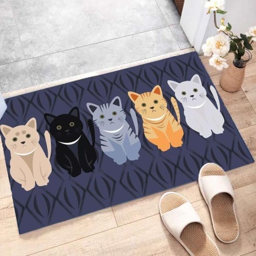 Floor Mat Can Enter The Mat Bedroom Door Carpet Home