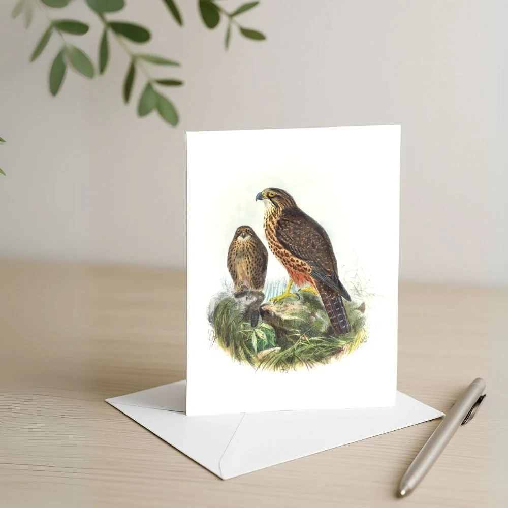 Johannes Keulemans - Card - New Zealand Falcon - Karearea