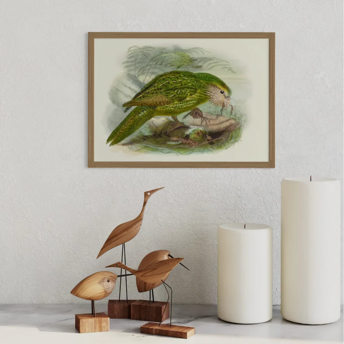Johannes Keulemans - Print - Kakapo