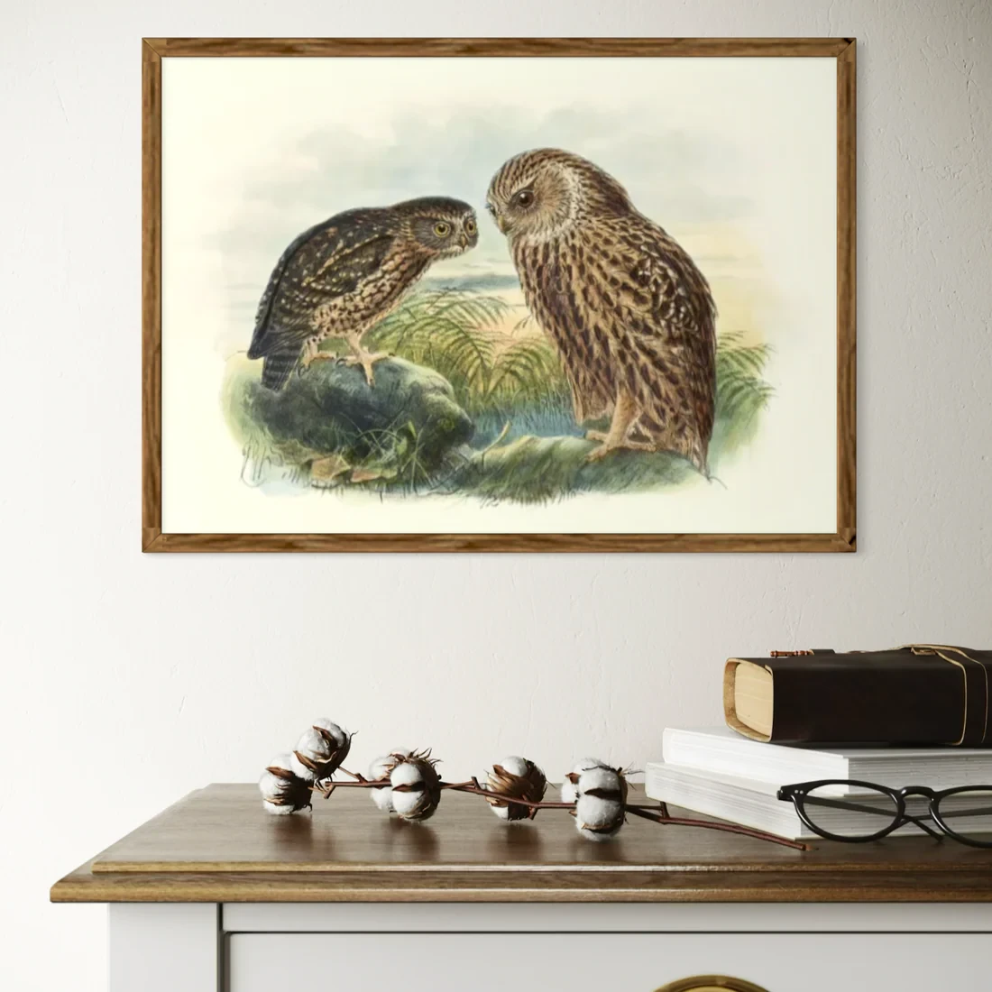 Johannes Keulemans - Print - Morepork - Ruru and Laughing Owl - Whekau