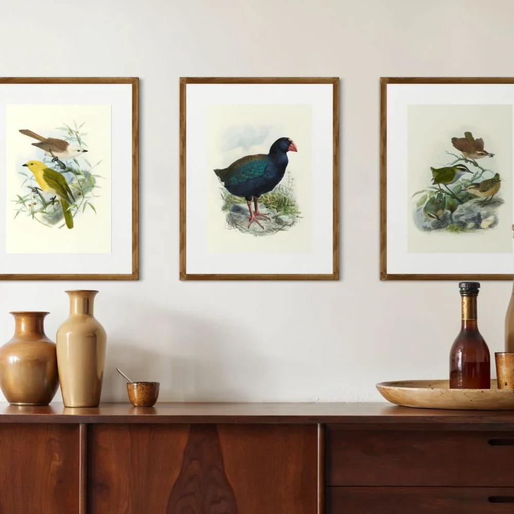 Johannes Keulemans - Print - South Island Takahe