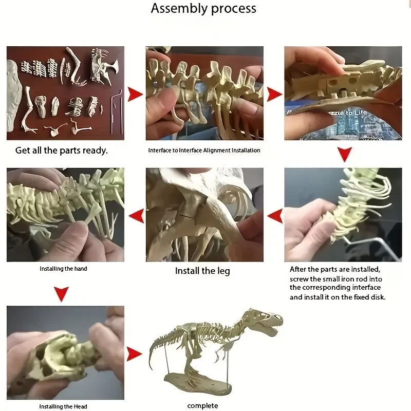 70cm high-quality PVC large-scale network hit dinosaur Tyrannosaurus rex skeleton DIY model