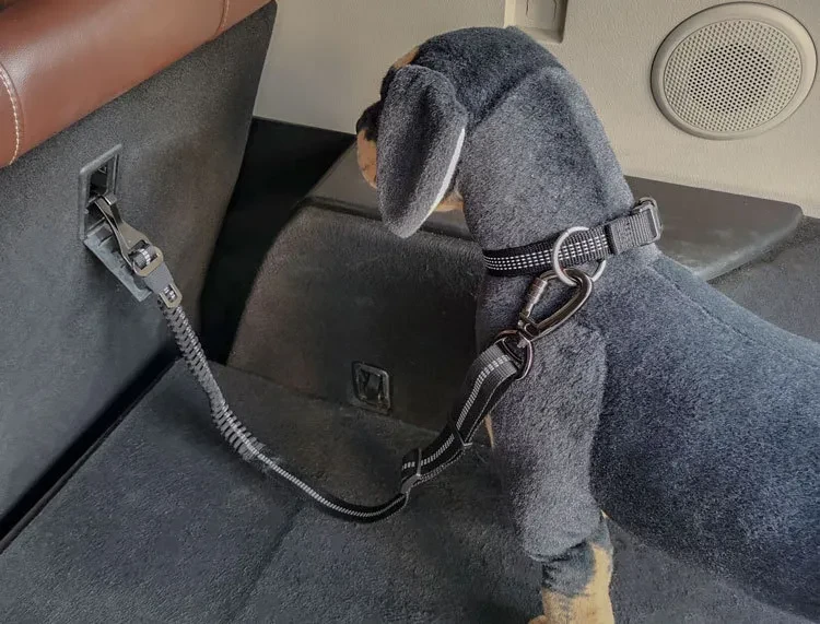 Dog Seat Belt
