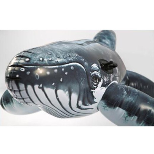 Simulation Whale Shape Children's Mount