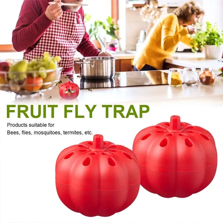 Small Pumpkin Fruit Fly Trap & Insect Trap
