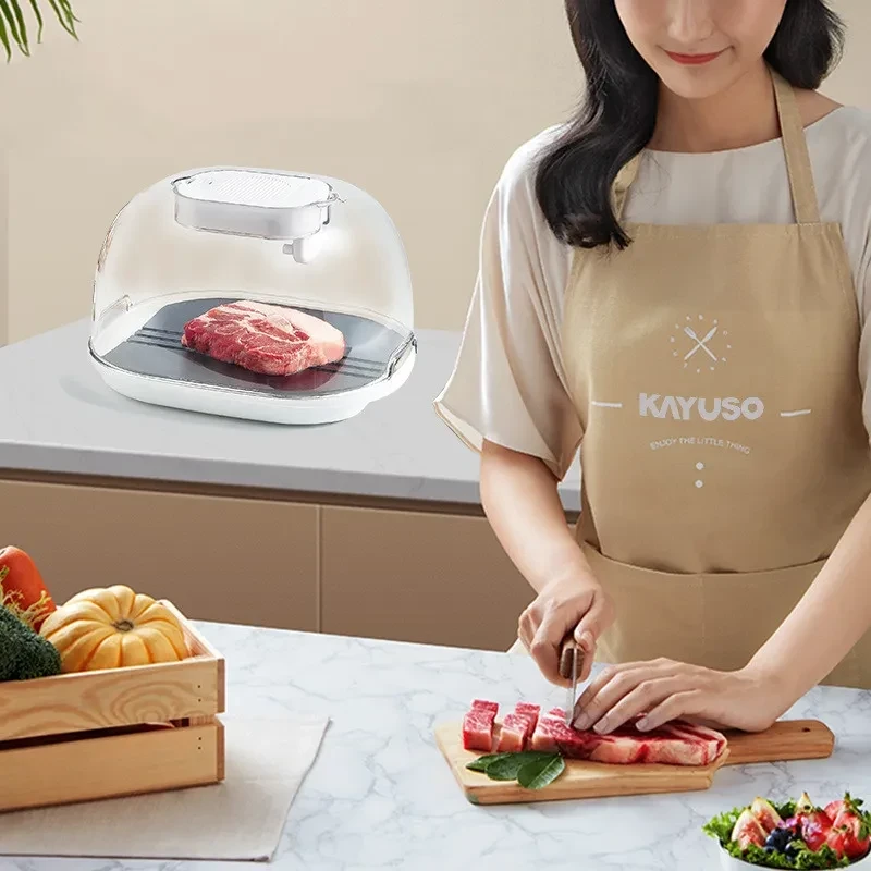 Kitchen Household Food Preservation Thawing Plate