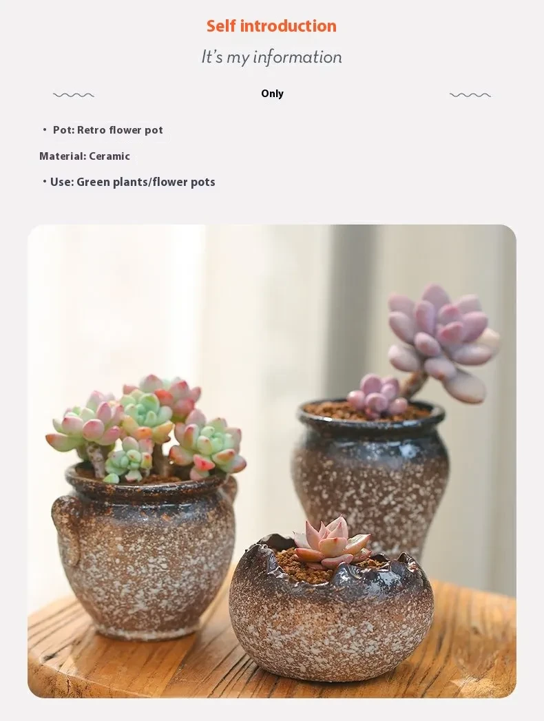 Meat Plant Flower Pot Vintage Tableware Flowers