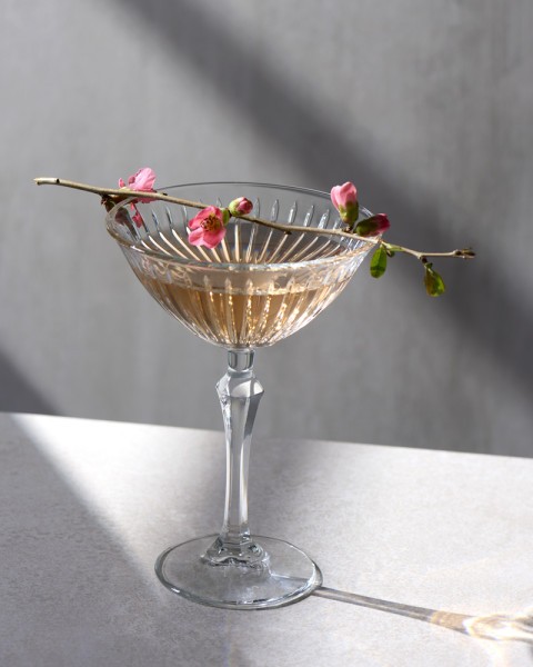Joy Coupe Cocktail 245ml - Pasabahce