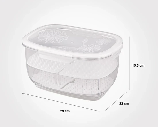 Big Fruit Container