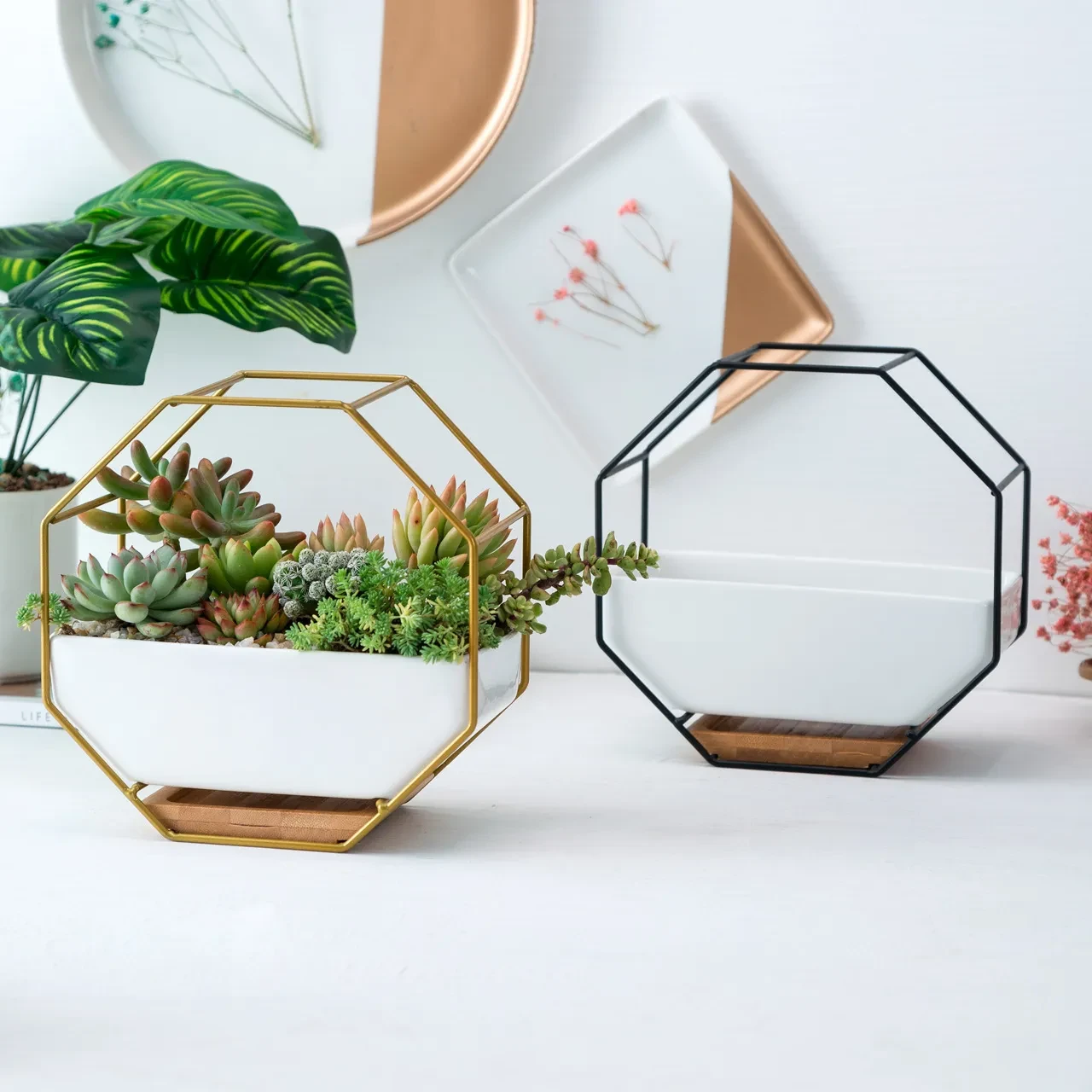hexagon wall planter