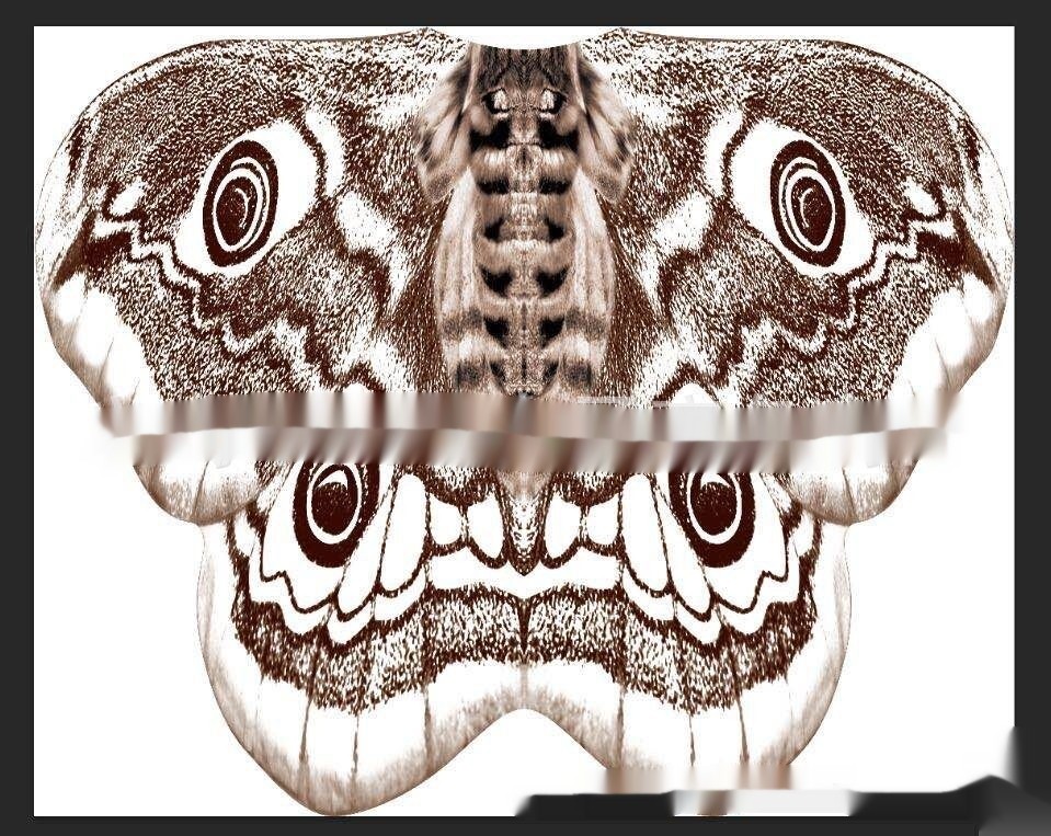 Fashion Halloween Shawl Decorative Butterfly Cloak