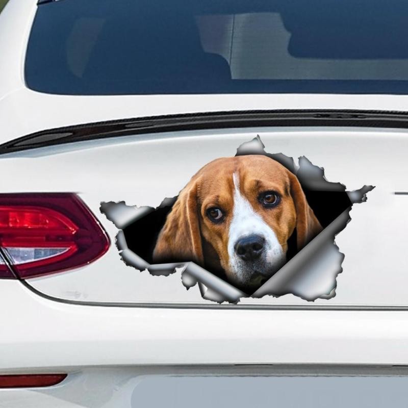 Car Stickers To Hide Dents