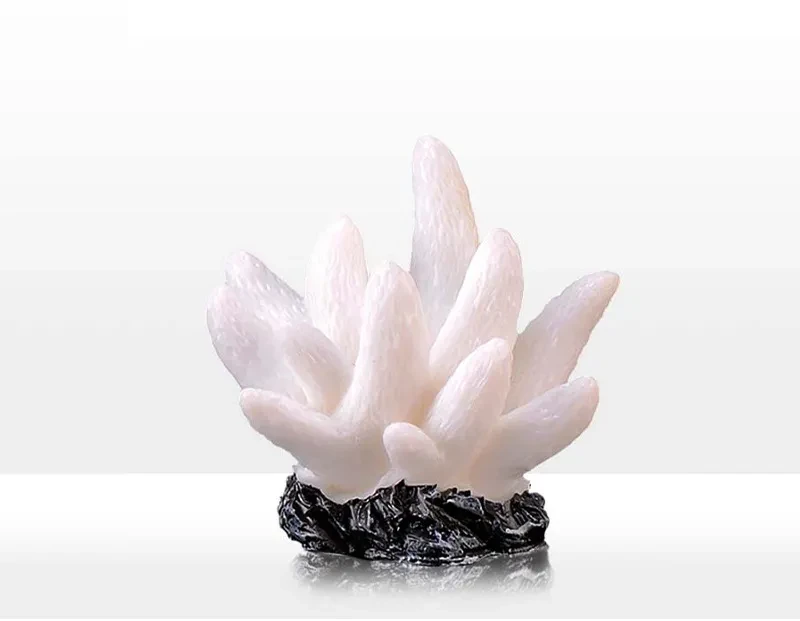 Fish Tank Accessories