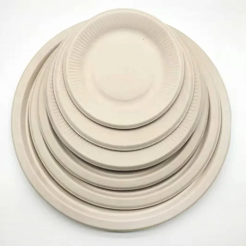 Compartment Disposable Plates