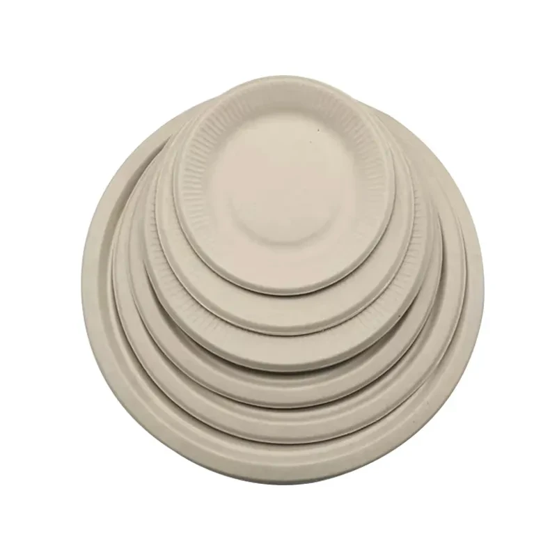 Compartment Disposable Plates