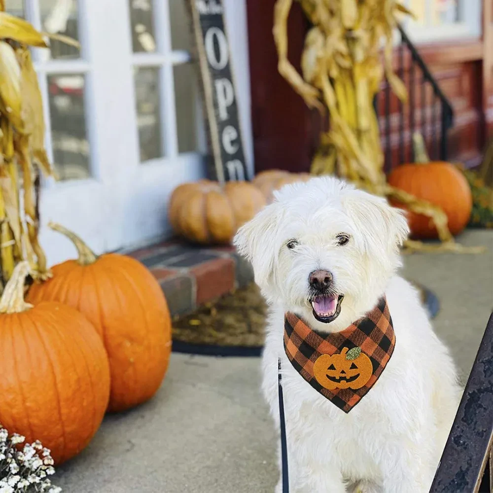 Dog Bandana