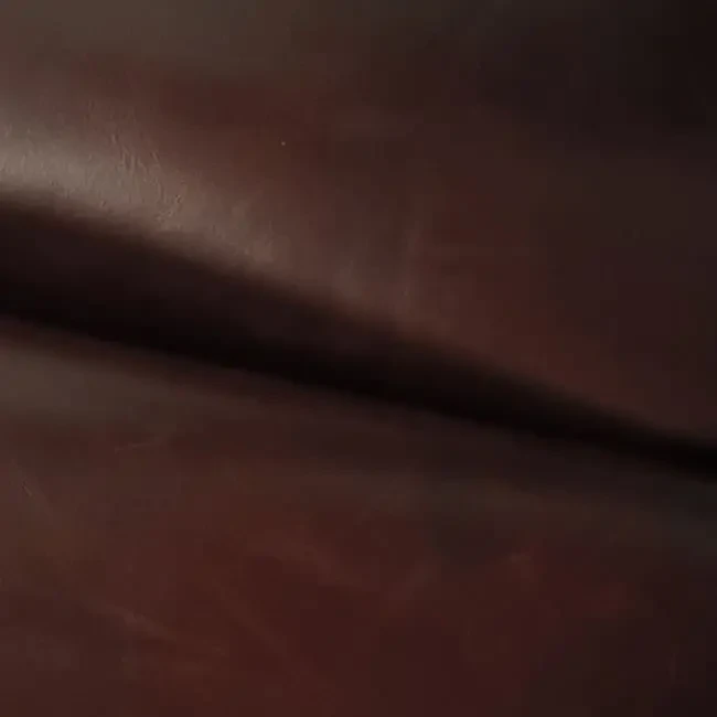 Tasman Monarch Range