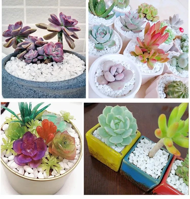 Small White Stones For Garden