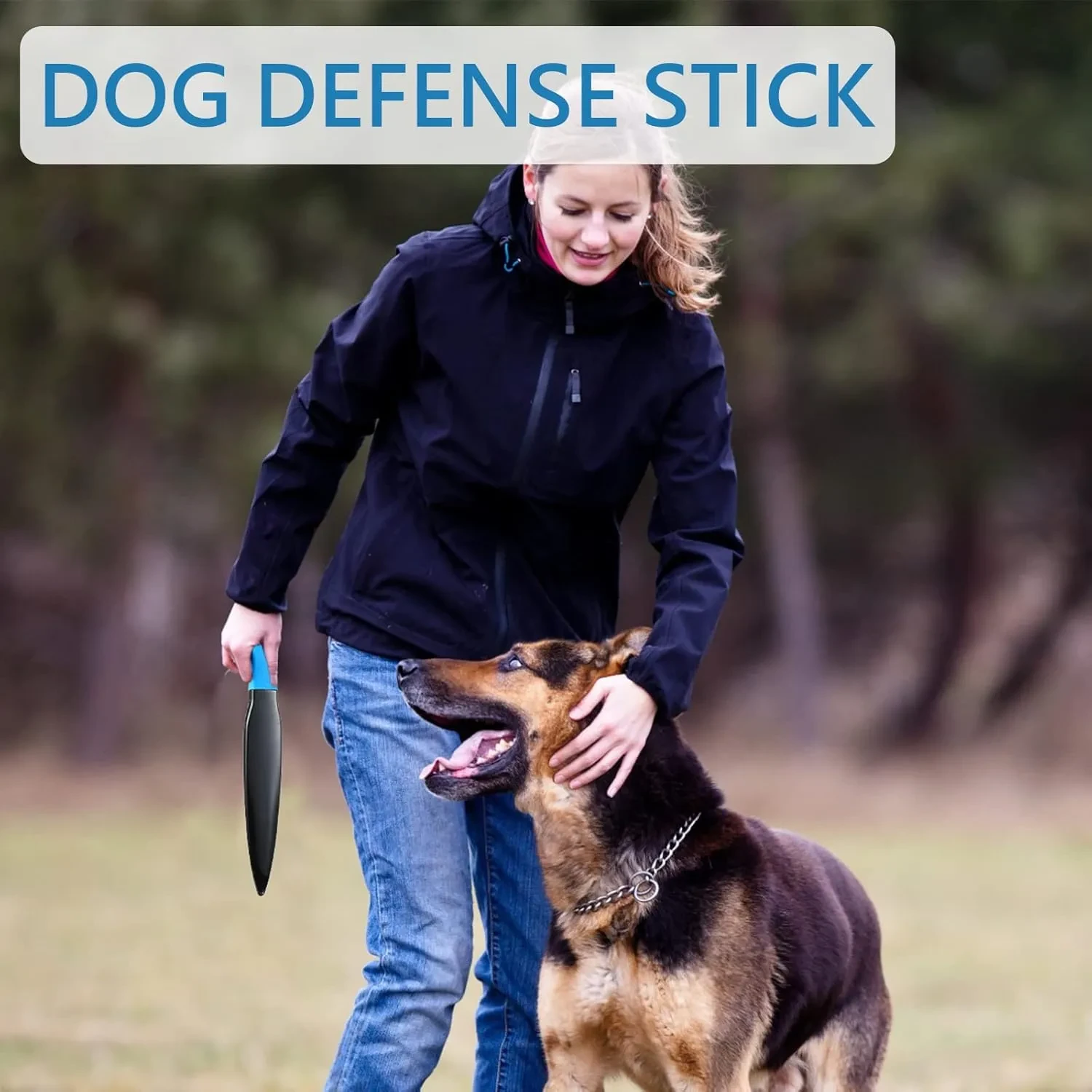 Training Chew Stick