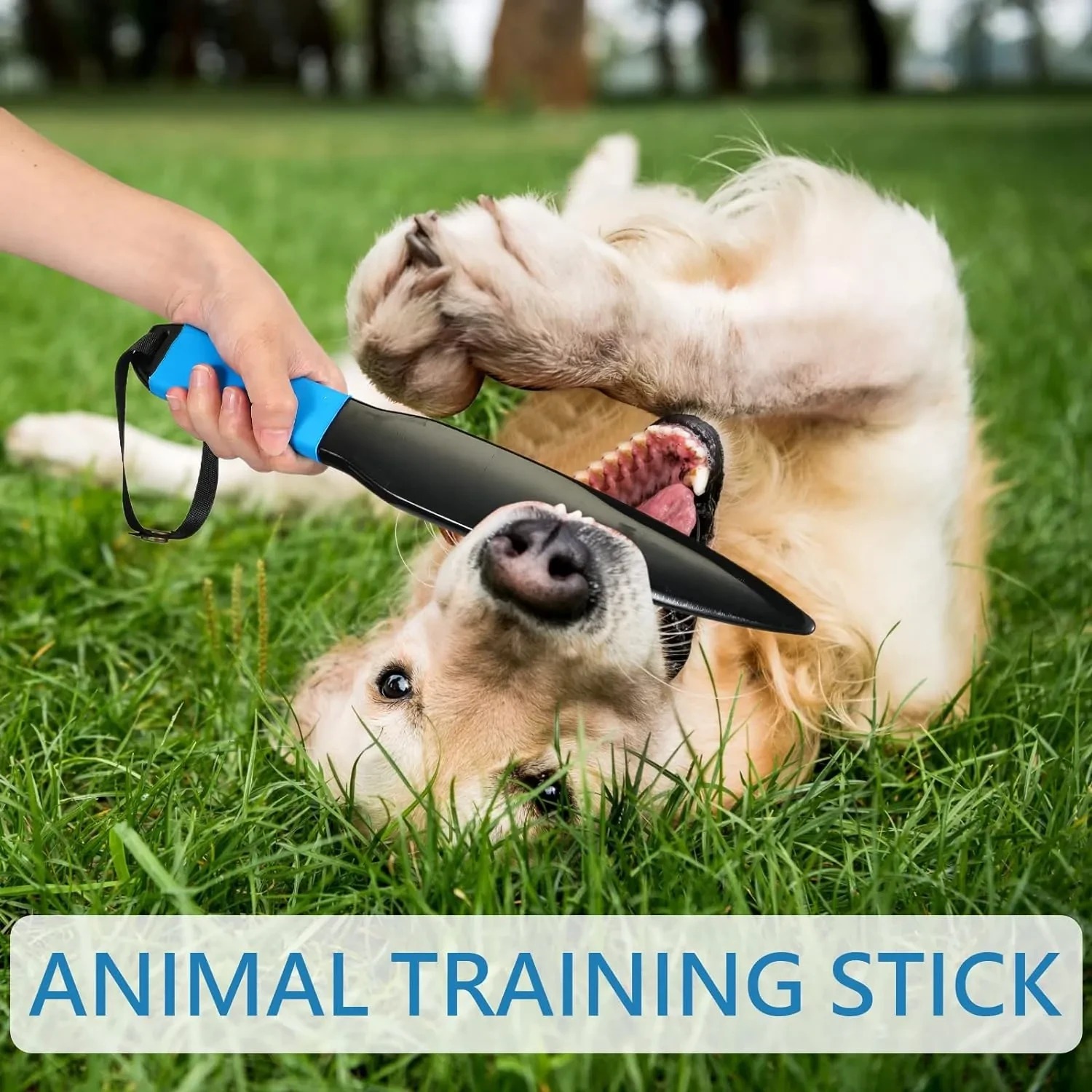 Training Chew Stick