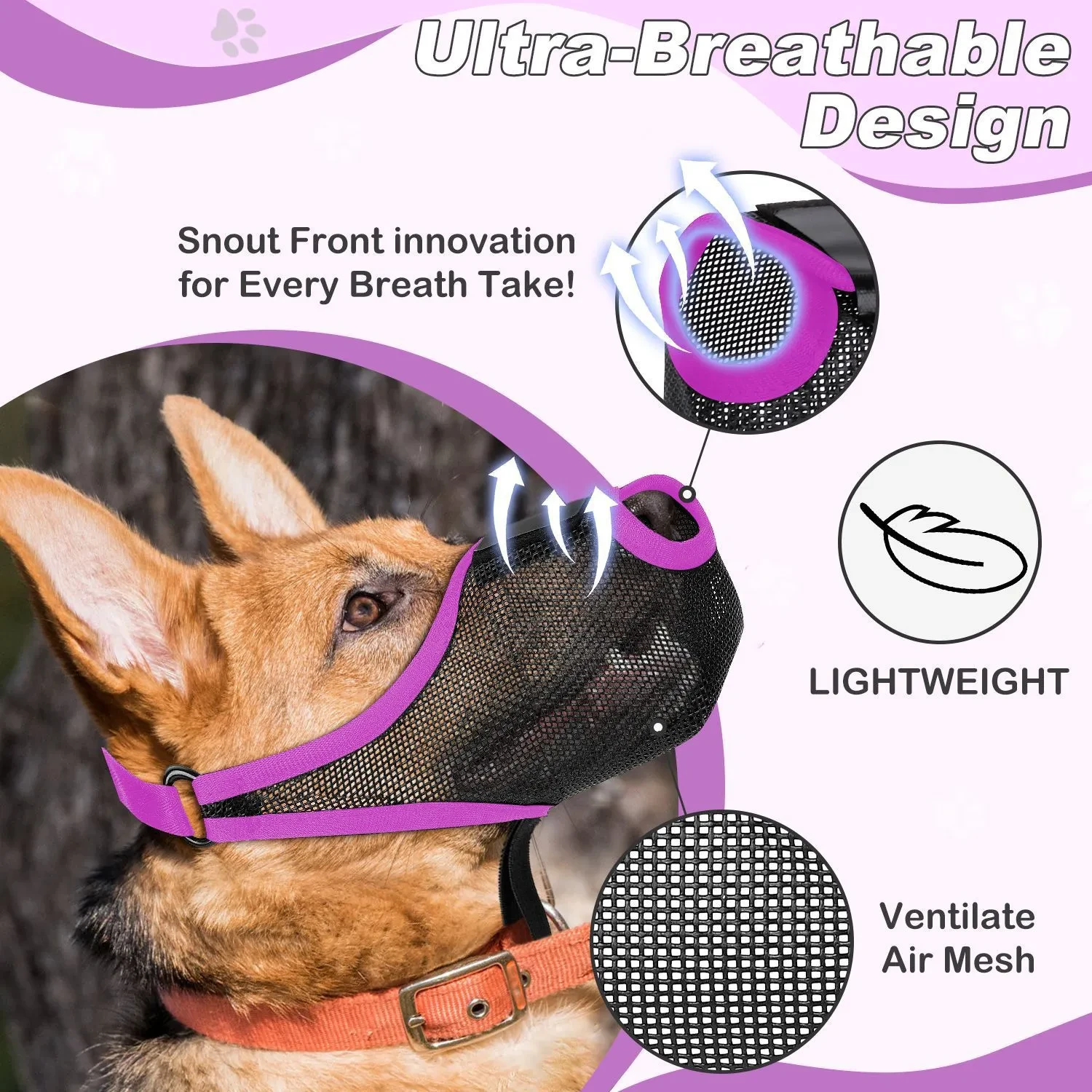 A Muzzle For A Small Dog