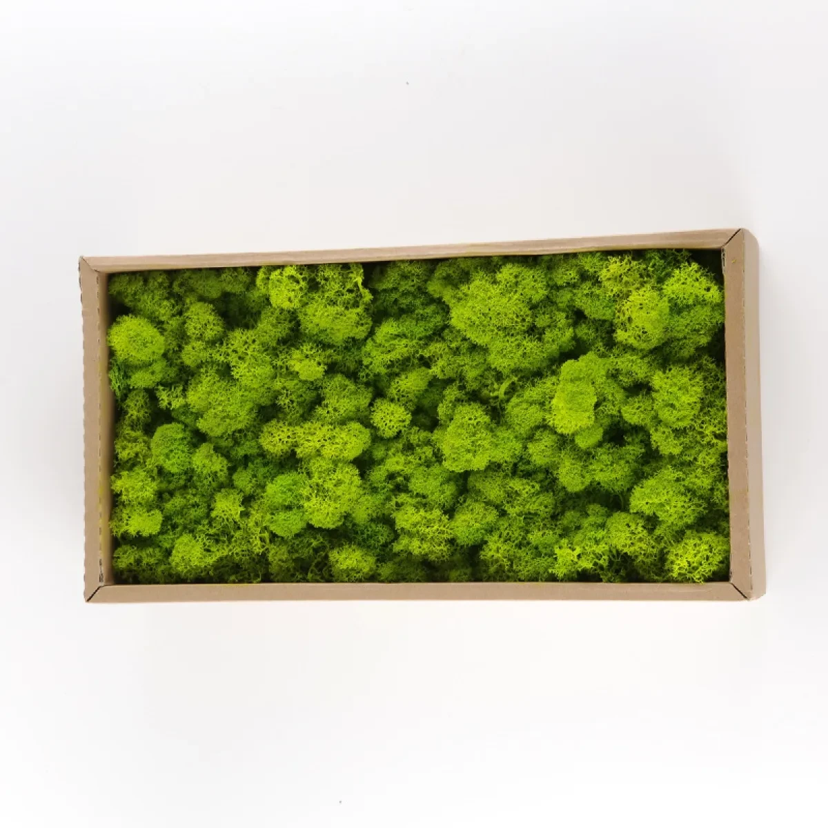 Artificial Moss Decorations