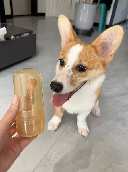 79% OffFlexiBrush Pet Toothbrush with Tongue Scraper