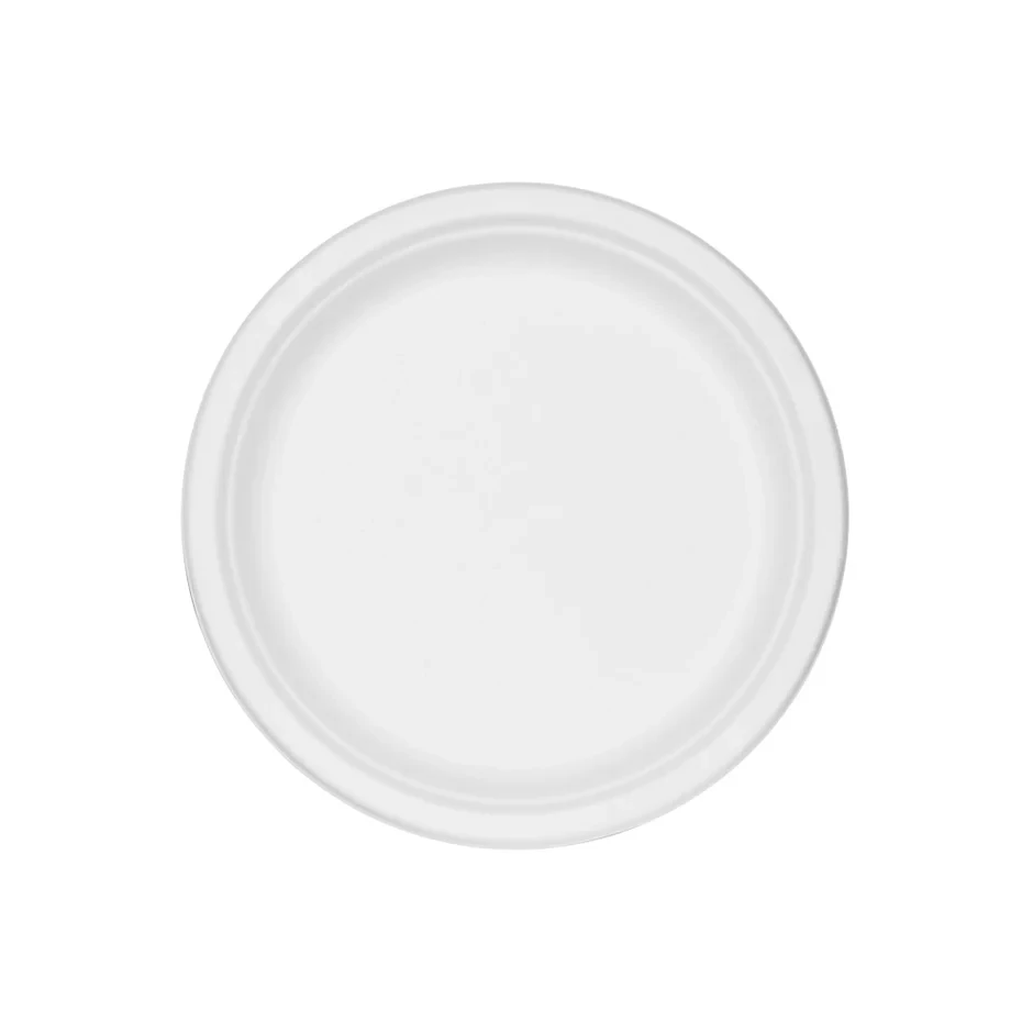 Biodegradable Plates 10" 20pcs