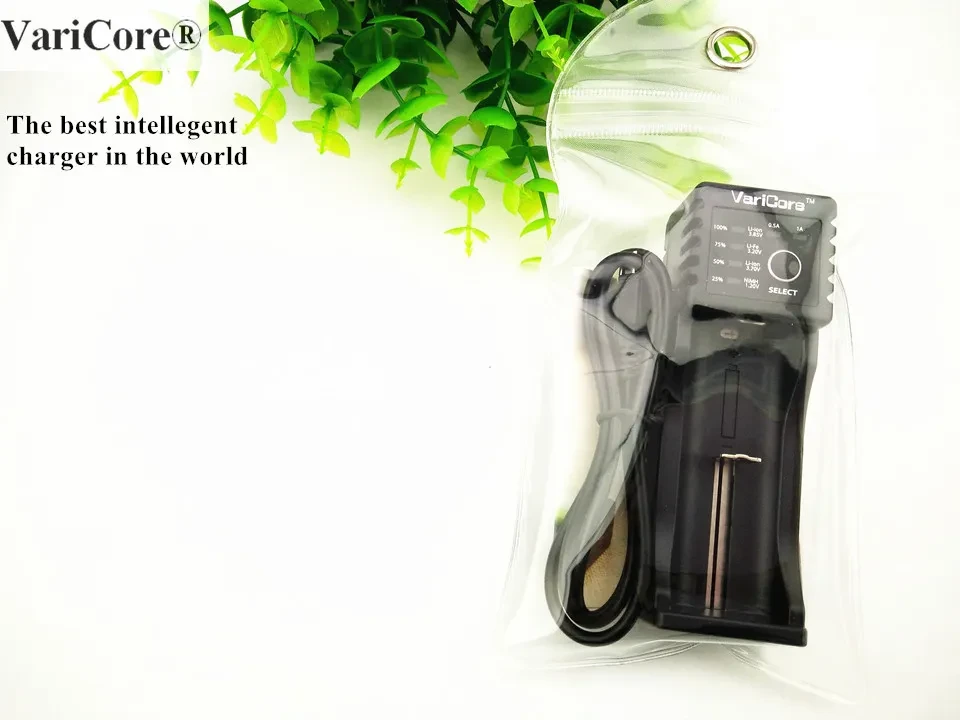 V10 18650 universal charger