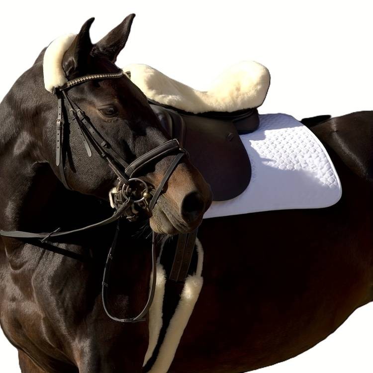 TGW RIDING Equestrian Dressage Girth  Plush Comfort, Stable Performance & Premium Horse Protection