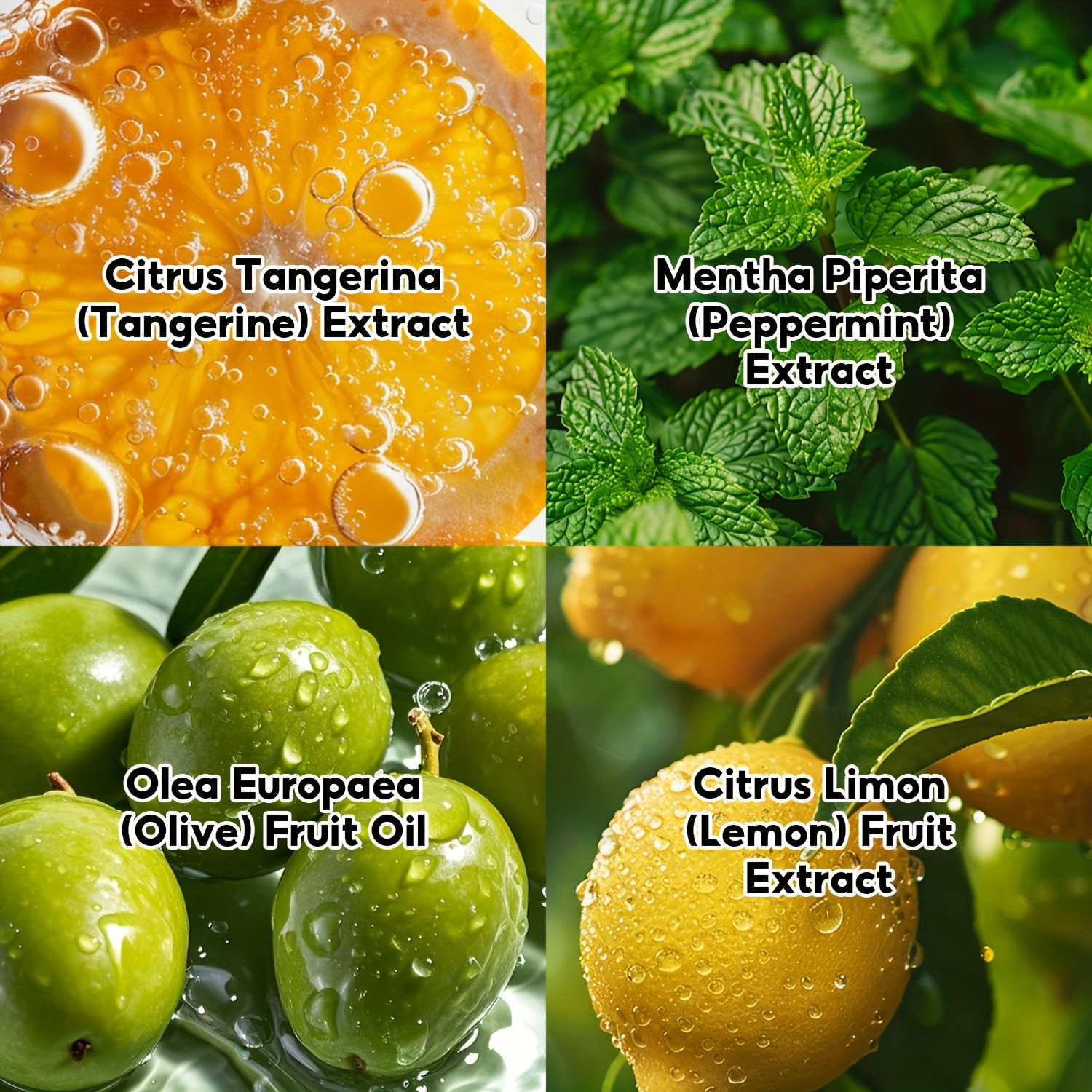 SUMAX Mens & Womens Citrus Deodorizing Fragrance Spray  Long-Lasting Fresh Citrus Aroma in a Sleek Travel Bottle