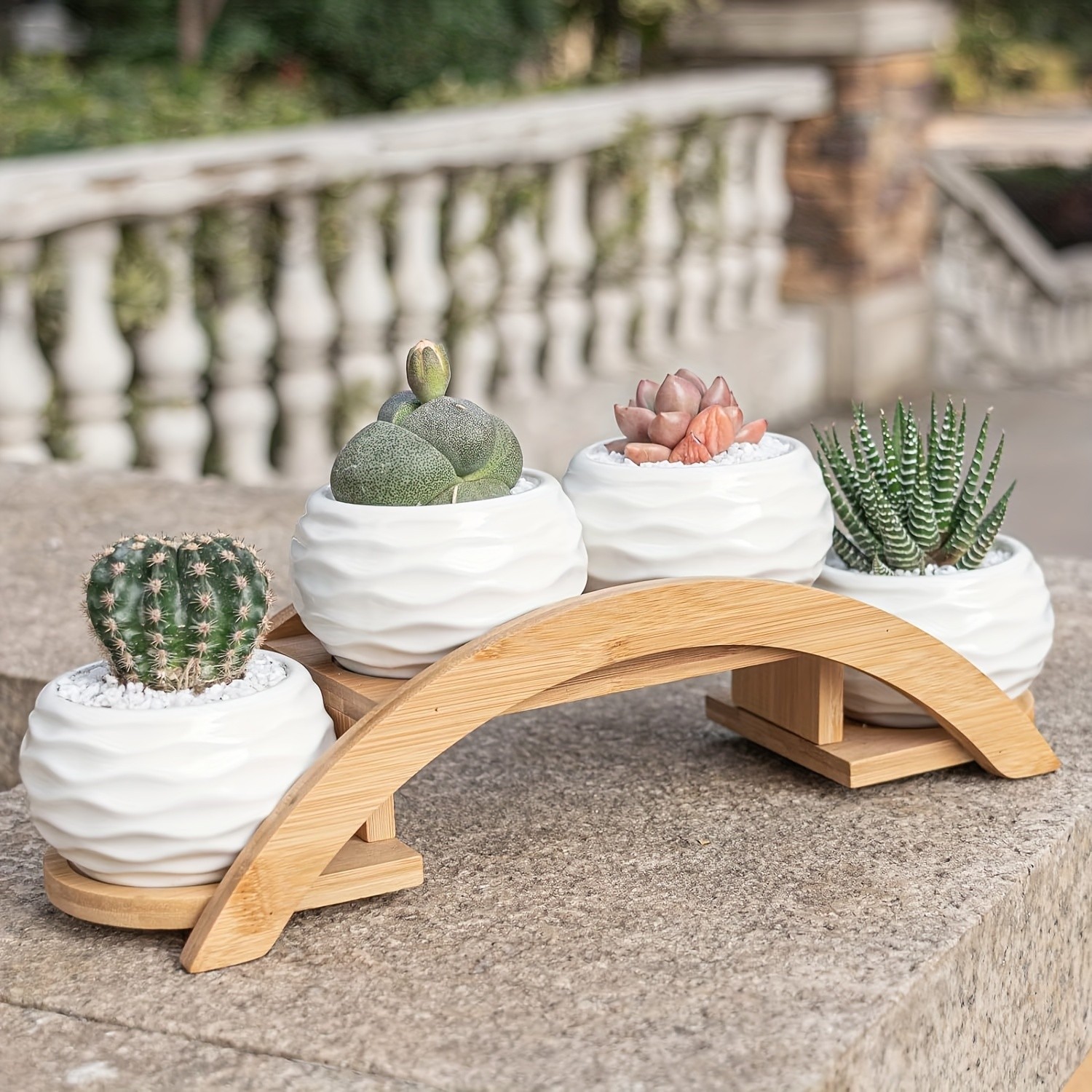 CEEFU 4-Pot Ceramic Succulent Planter Set with Stand  Modern White Ripple-Texture Pots with Drainage for Indoor & Outdoor Plants