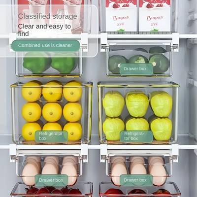 FARIDABIO 2pcs Refrigerator Storage Box Wall Hanging, Space-Saving Food Storage Organizer