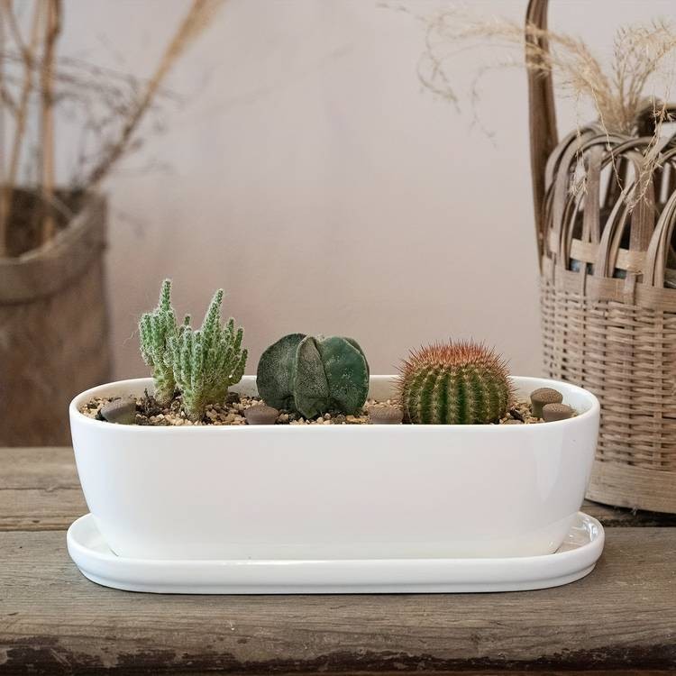 1pc Oval Ceramic Planter Pot with Drainage Hole Saucers Stylish Planter for Succulents, Herbs, and Cactus