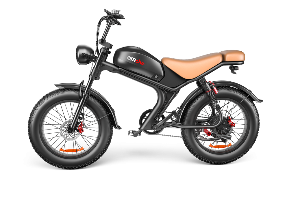Electric Bike