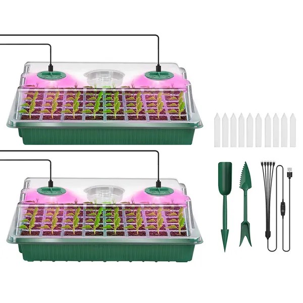 Seed Starter Tray Plant