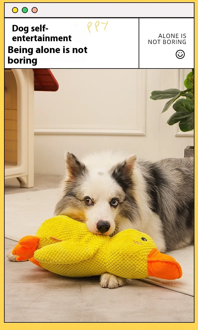 Paw Love - Calming Duck