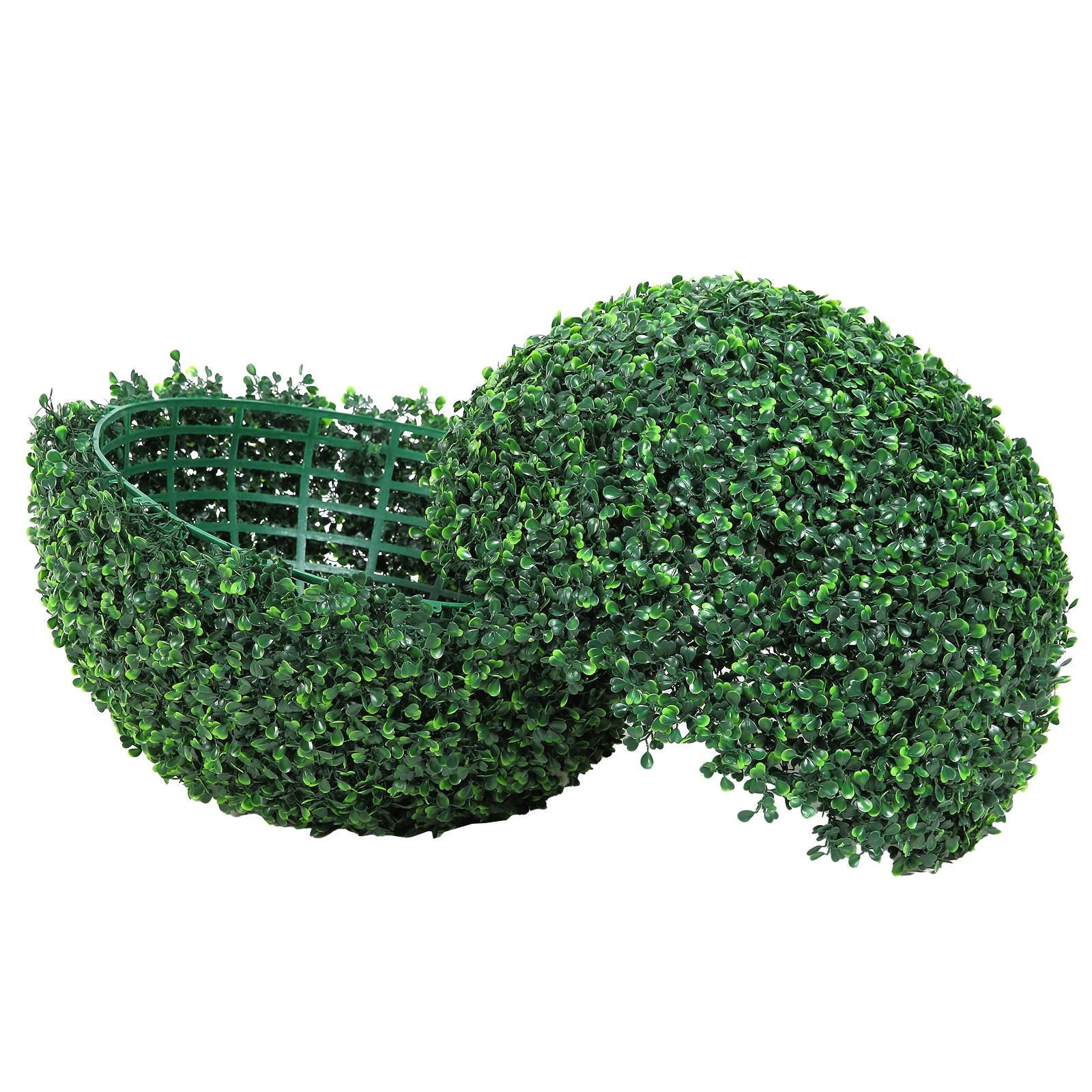 Outdoor Boxwood Trees