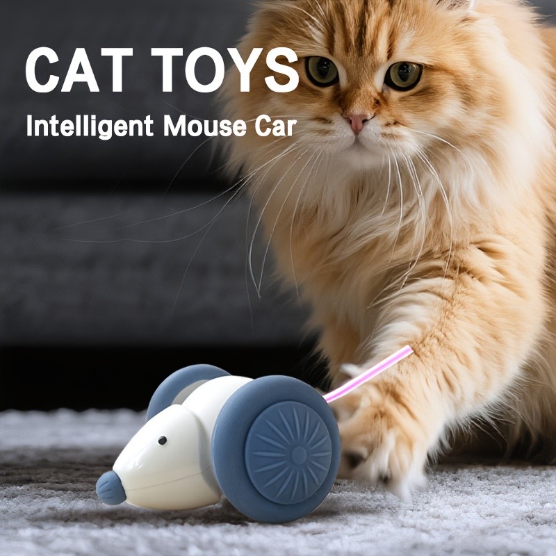 BRAIDOL Electric Mouse Car Toy