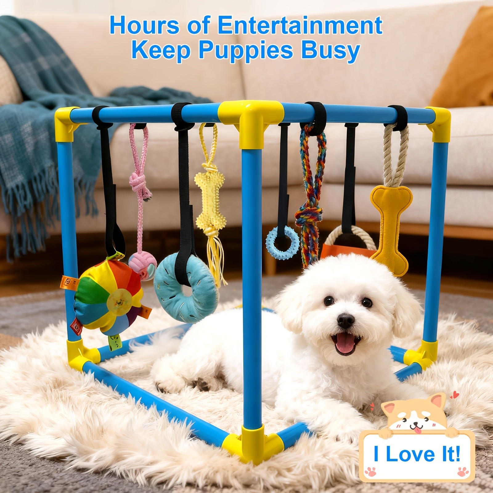 LIUYANG Puppy Play Gym for Small Dogs